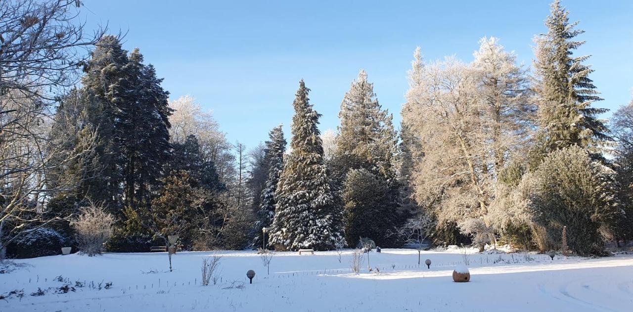 Maisonmazerand Cirey-sur-Vezouze ภายนอก รูปภาพ