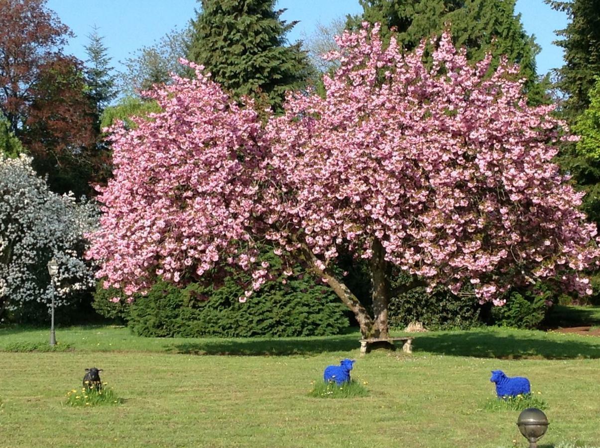 Maisonmazerand Cirey-sur-Vezouze ภายนอก รูปภาพ